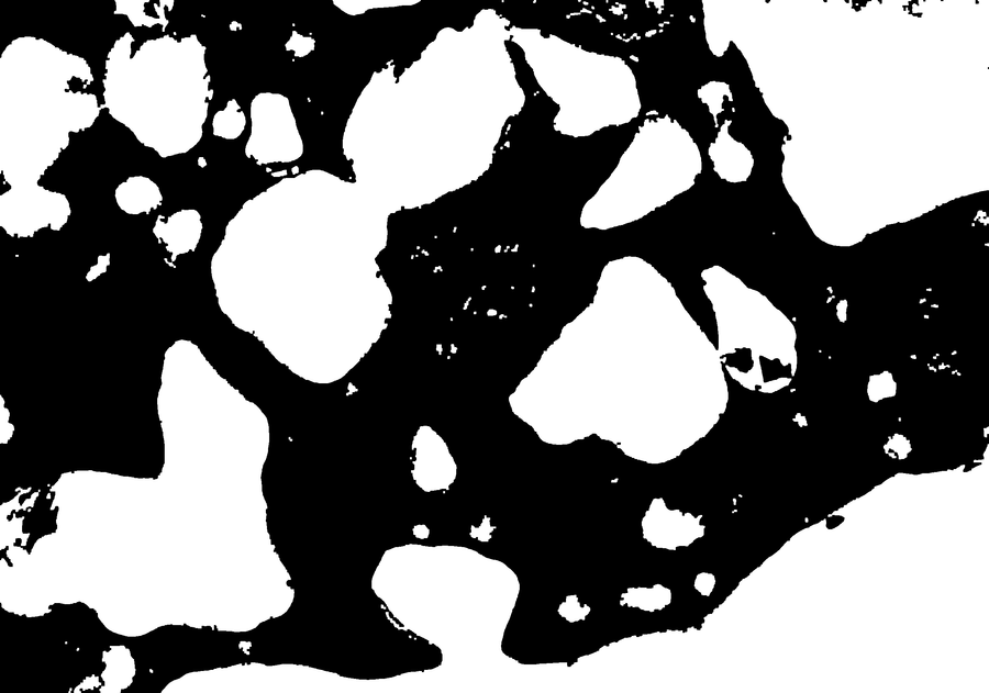 Binary PyRO-FOAMS segmentation mask corresponding to the original SEM image.